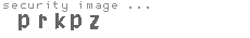 security image