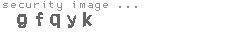 security image