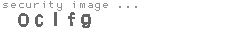 security image