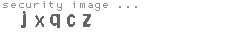 security image