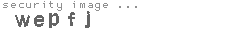 security image