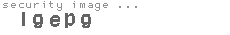 security image