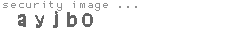 security image