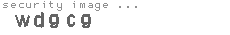 security image