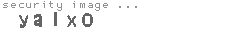 security image
