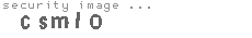 security image