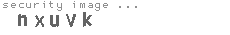 security image