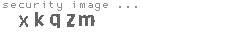 security image