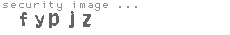 security image