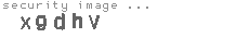 security image