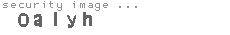 security image