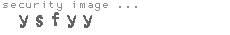 security image