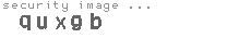 security image