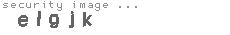 security image