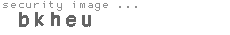 security image