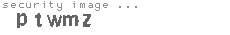 security image