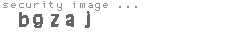 security image