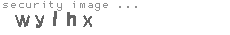 security image