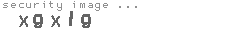 security image