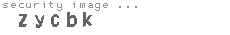 security image