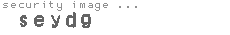 security image