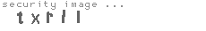 security image