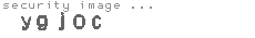 security image