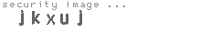 security image