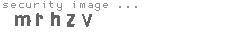 security image