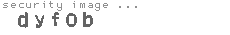 security image