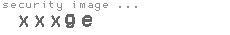security image