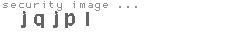 security image