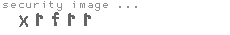 security image