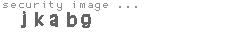 security image