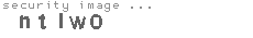 security image