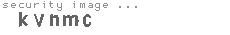 security image