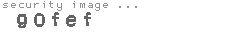 security image