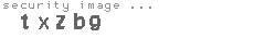 security image