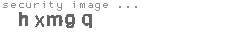 security image