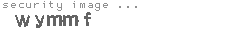 security image