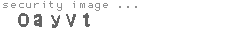 security image