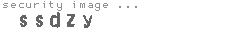 security image
