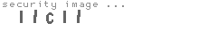 security image