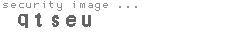 security image