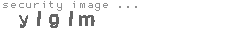 security image