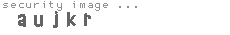 security image