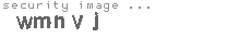 security image