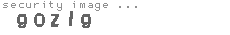 security image