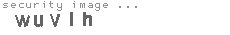 security image