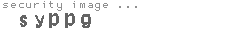 security image